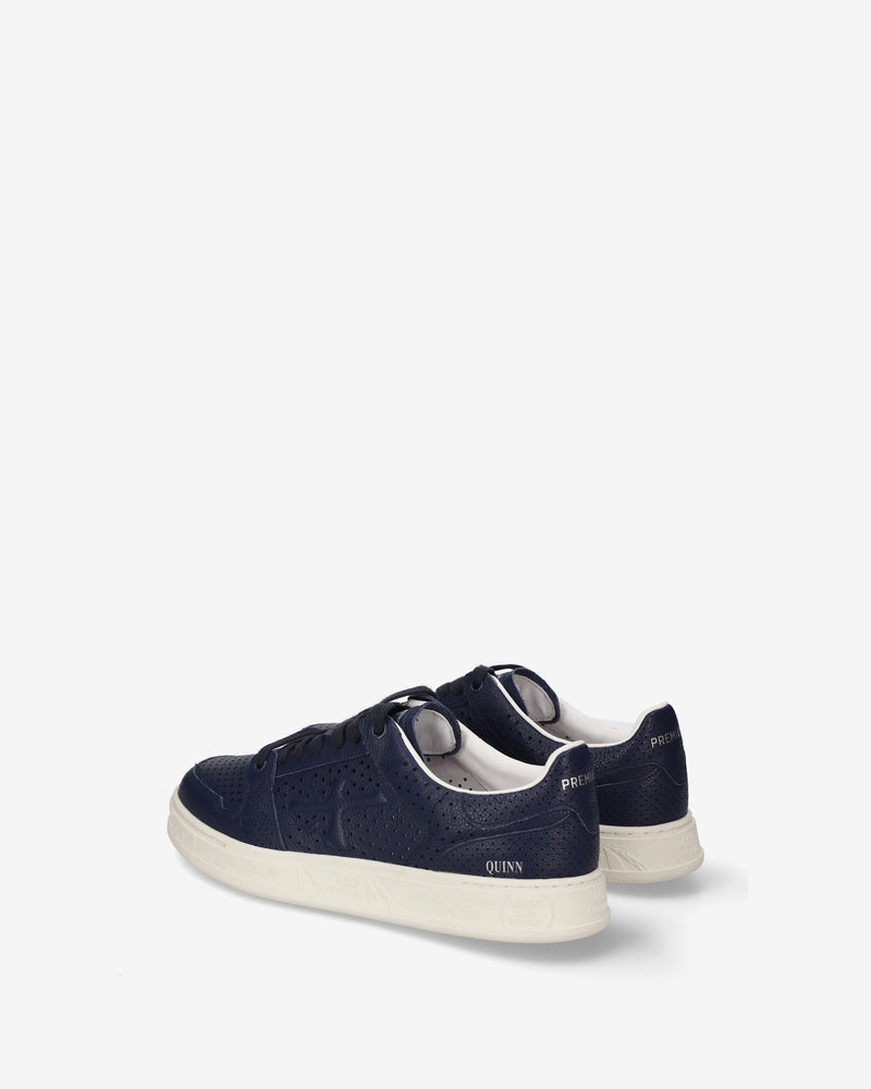 Quinn 8253